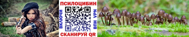 KRAKEN маркетплейс  Светлогорск  Галлюциногенные грибы MAGIC MUSHROOMS 